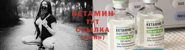 шишки Алзамай
