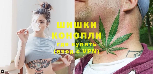 шишки Алзамай