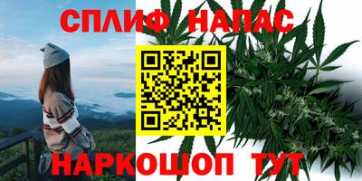 PSILOCYBIN Каменск-Уральский