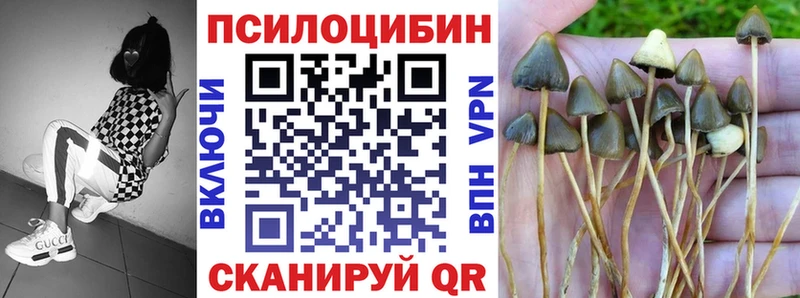 Галлюциногенные грибы мухоморы Бахчисарай