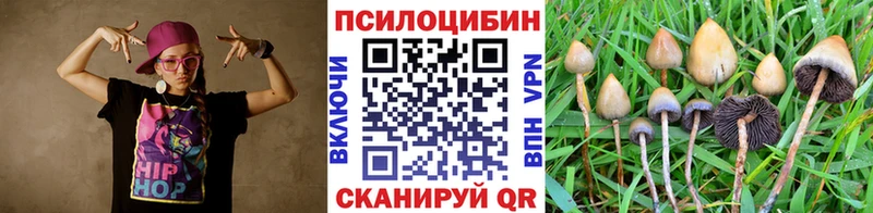 хочу наркоту  Бахчисарай  маркетплейс наркотические препараты  Псилоцибиновые грибы Cubensis 