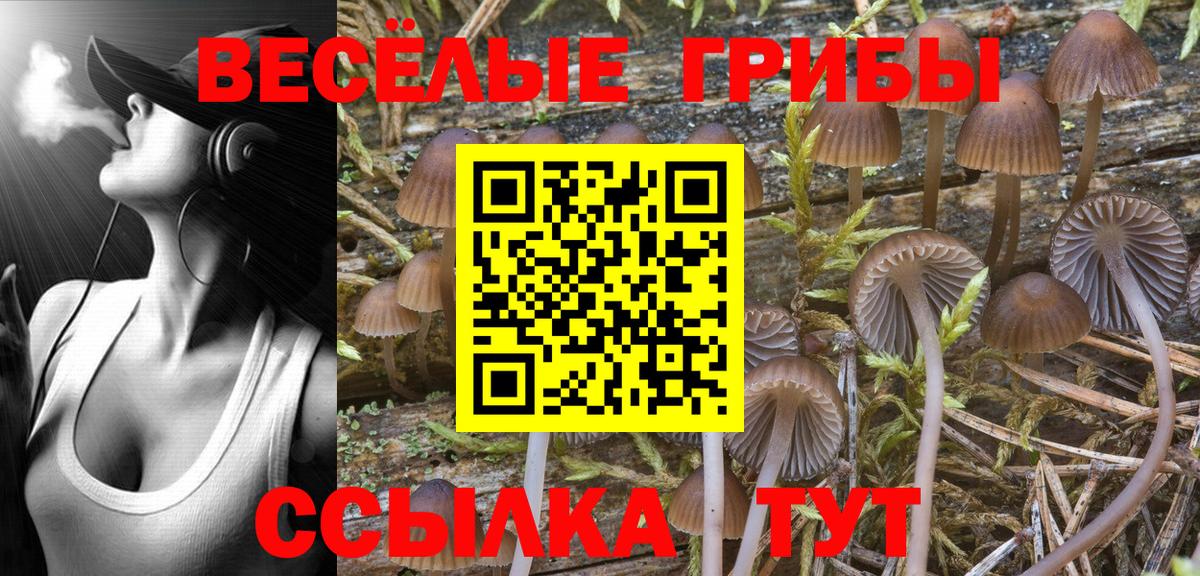 Бахчисарай  купить   Вход с VPN  Псилоцибиновые грибы Cubensis 