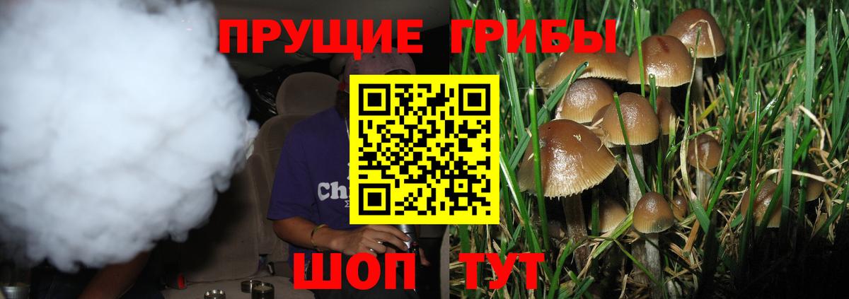 Псилоцибиновые грибы ЛСД Бахчисарай